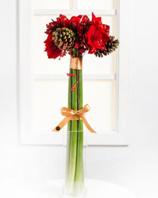 Elegant Bouquet with Amaryllis