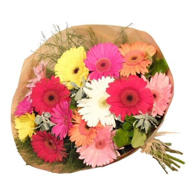 Gerbera Bunch - Mixed