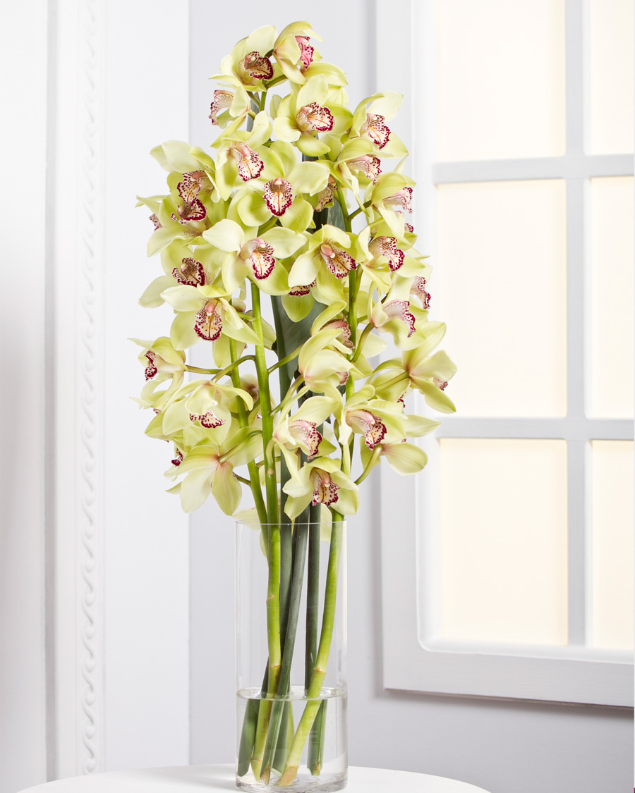 Orchids Cut flowers Interflora Ukraine. Flower Delivery