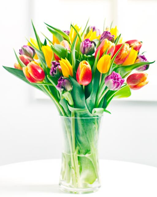 Багатобарвний букет тюльпанів